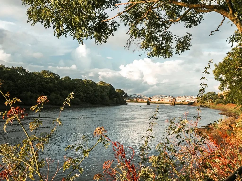 Putney riverside properties showing local area expertise