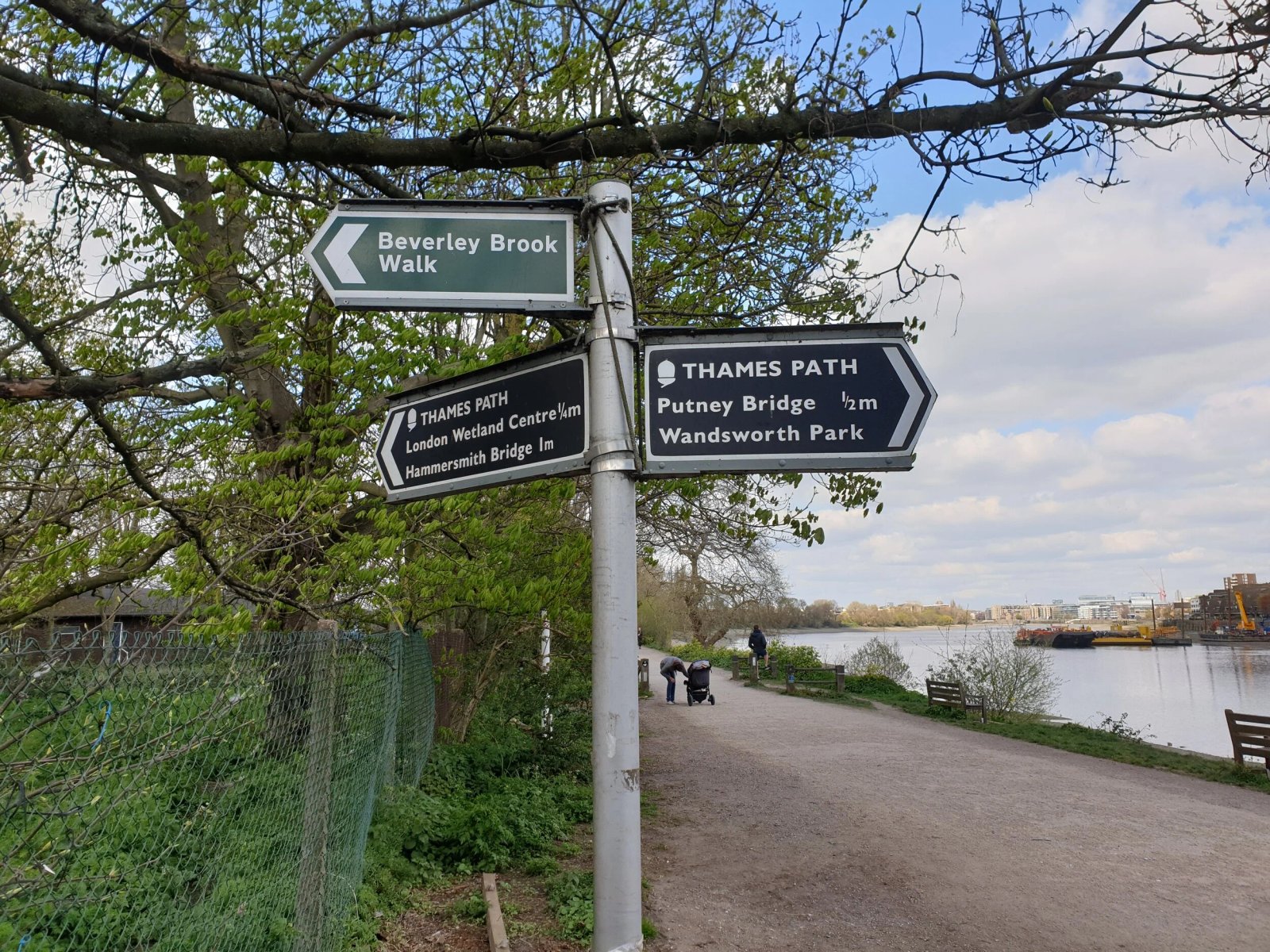 Putney Thames riverside area where our chartered surveyors operate